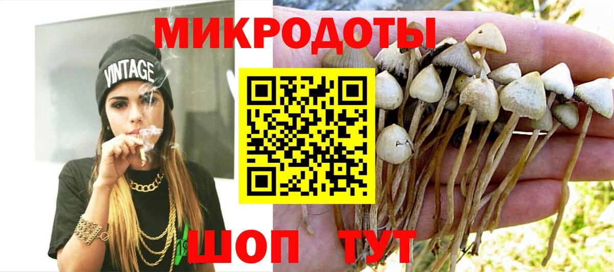 Псилоцибиновые грибы Psilocybe  Вход с VPN  Павловский Посад  Псилоцибиновые грибы Magic Shrooms 